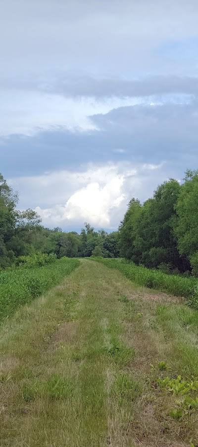 Marais Temps Clair Conservation Area photo 3