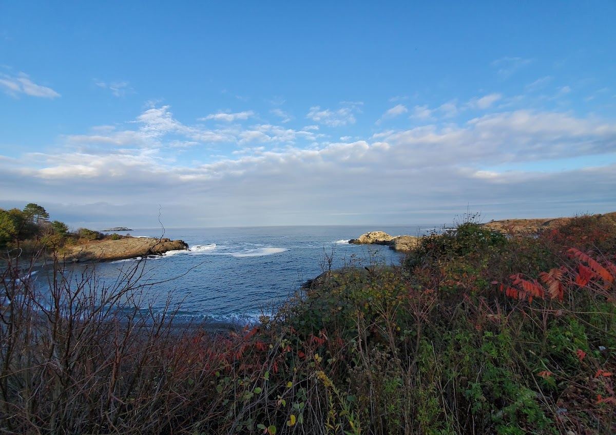 Mass Audubon's Nahant Thicket Wildlife Sanctuary