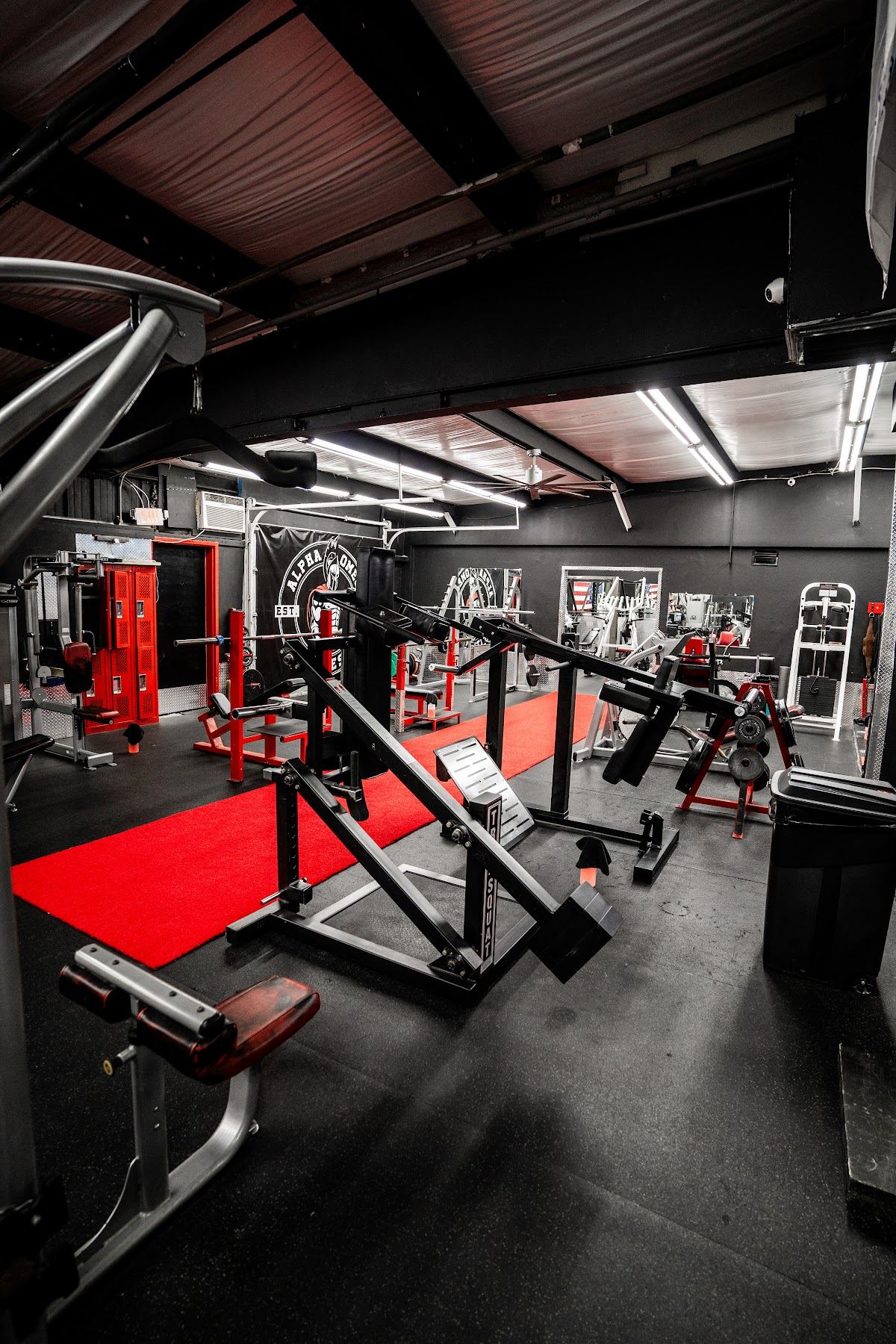 Alpha Omega Fitness Clearwater