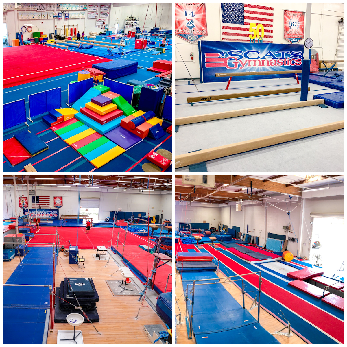 Scats Gymnastics