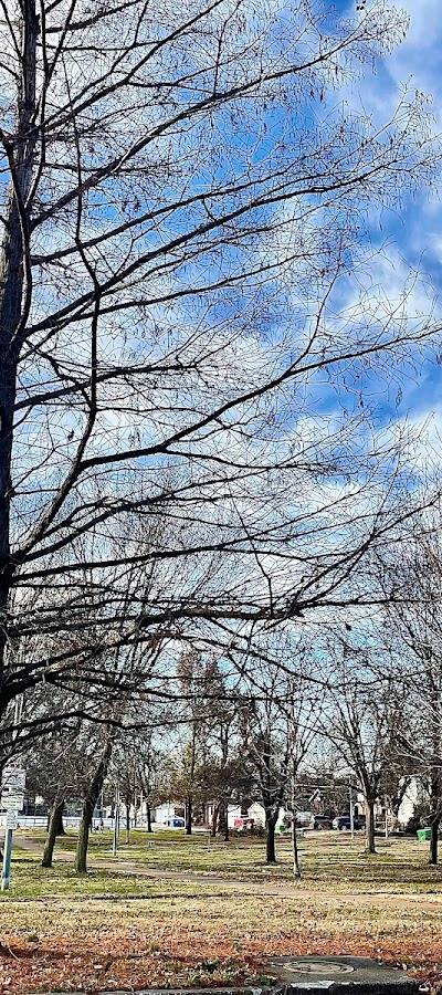 Mount Pleasant Park photo 4