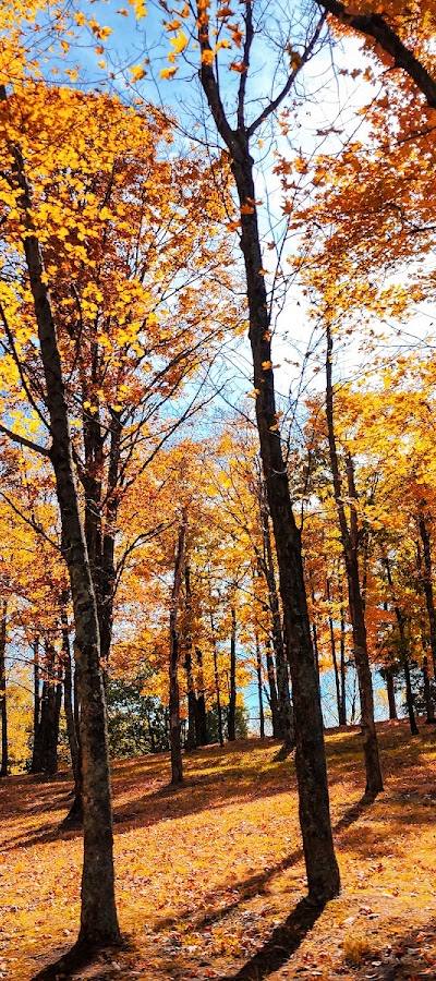 Pere Marquette State Park photo 3