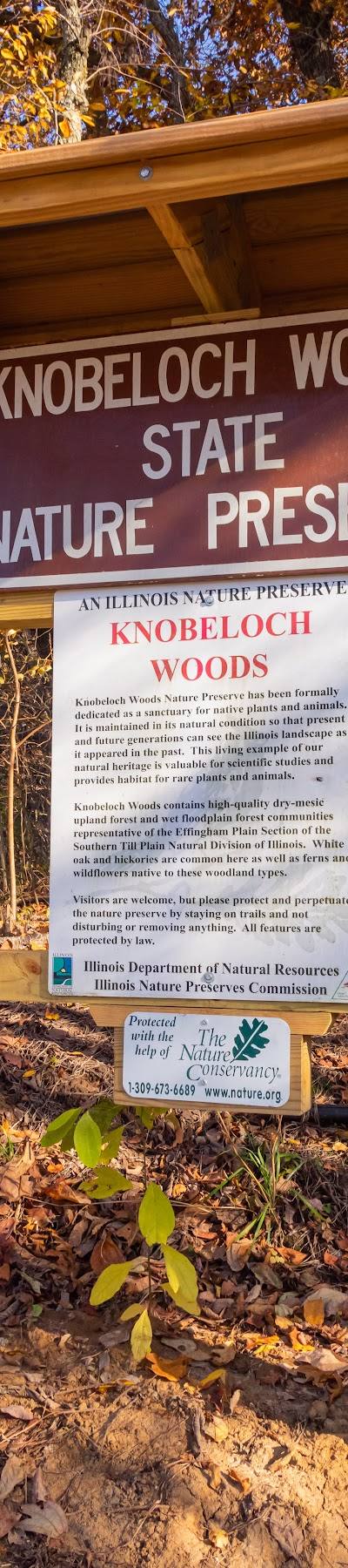Julius J Knobeloch Woods Nature Preserve photo 2