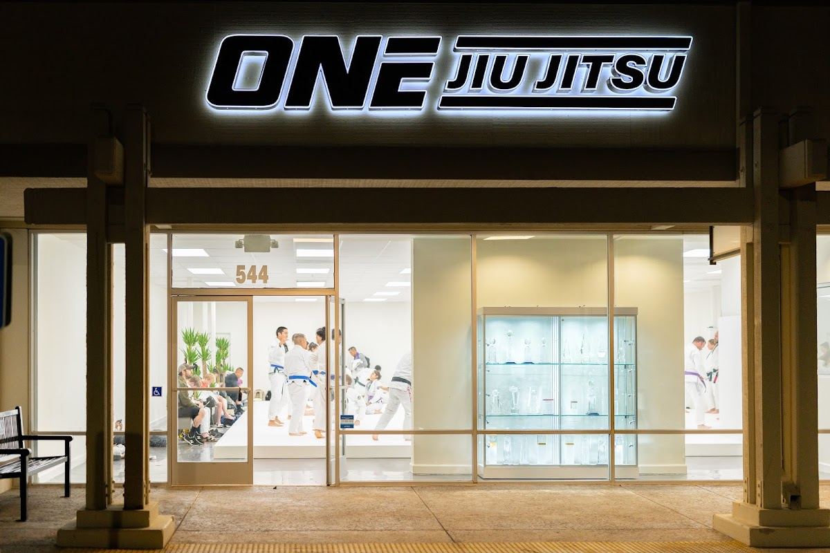 One Jiu Jitsu