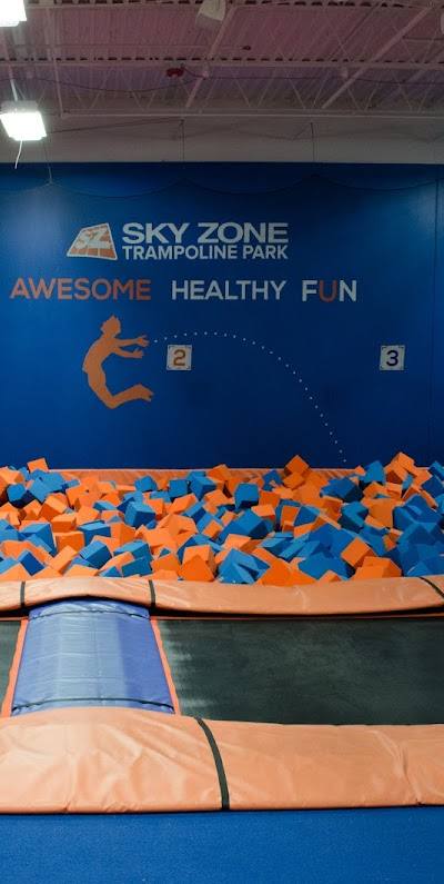 Sky Zone Fenton photo 2