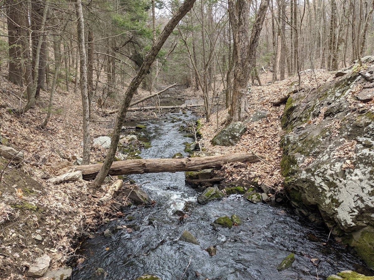 Shaker Glen