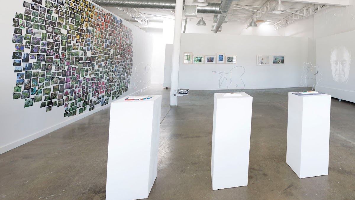 Cydonia Gallery