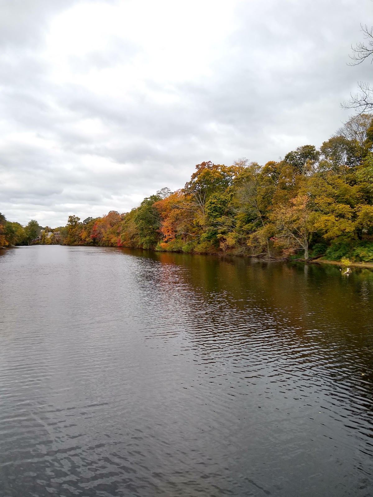 Mill Pond Park