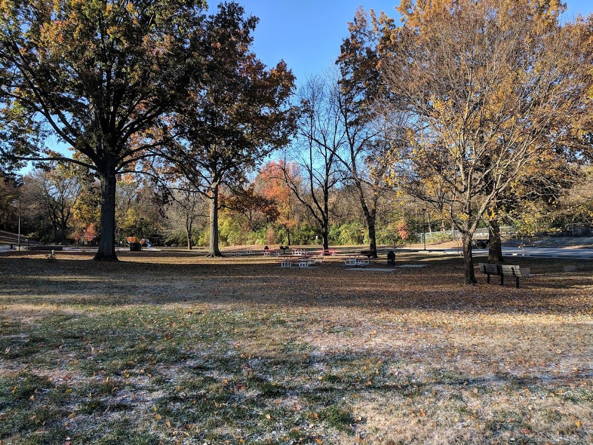 Lions Park