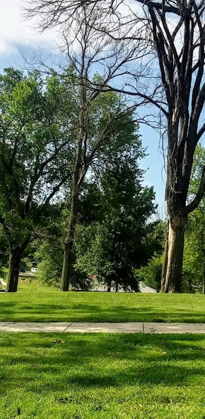 Lions Park photo 3