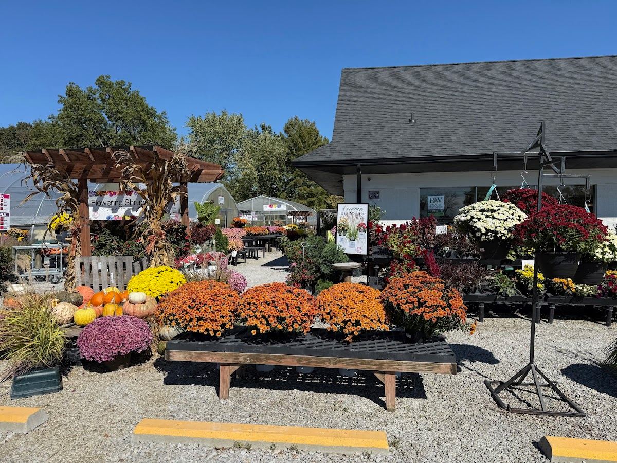 Sandy's Back Porch Gardens