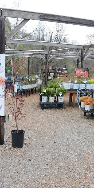 Sandy's Back Porch Gardens photo 3