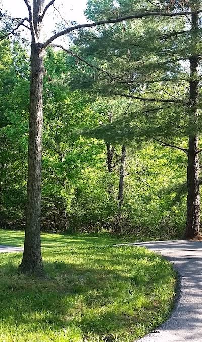 James McDonnell County Park photo 4