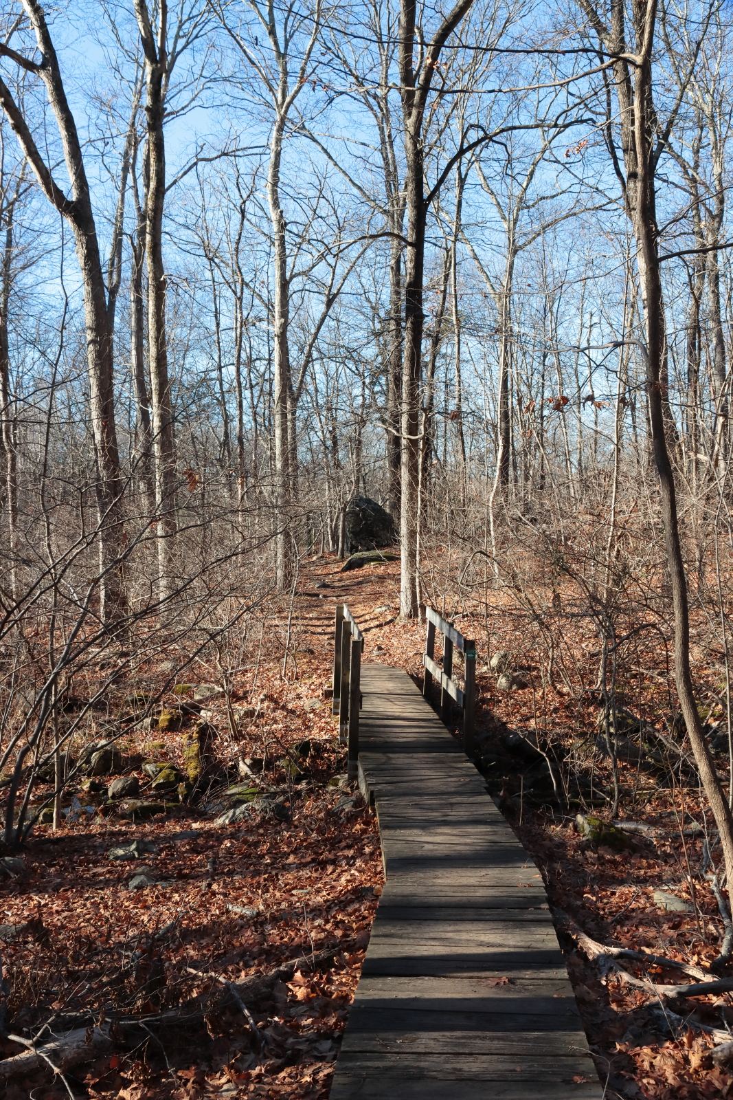 Shady's Pond Conservation Area