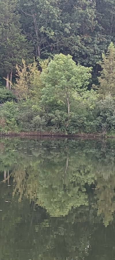 Central Park Chesterfield photo 3