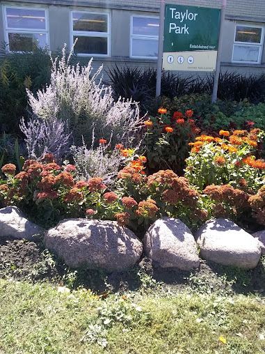 Robert Taylor Park