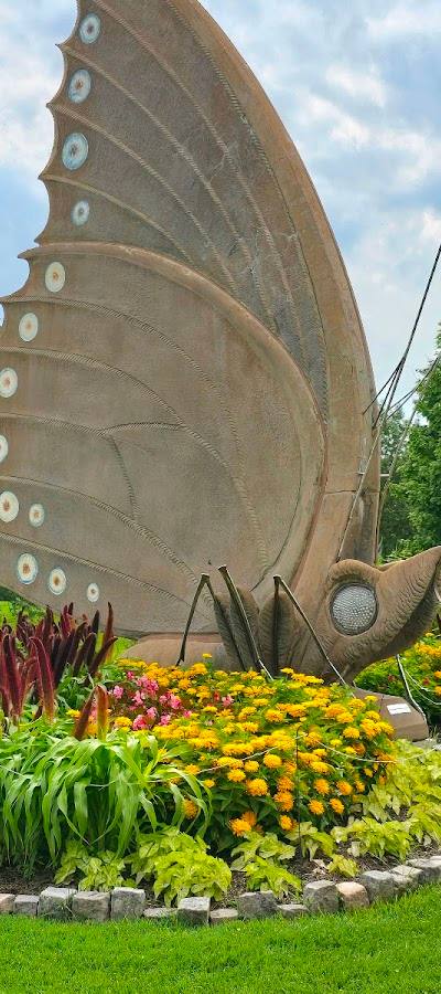 Sophia M. Sachs Butterfly House photo 3