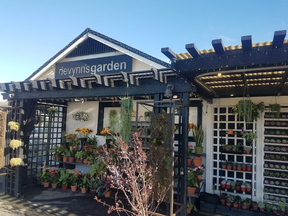 Devynn's Garden