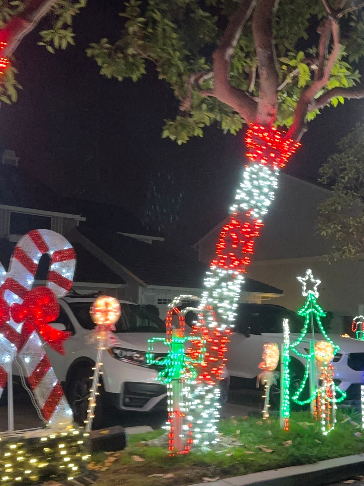 East Lake Village Christmas Lights