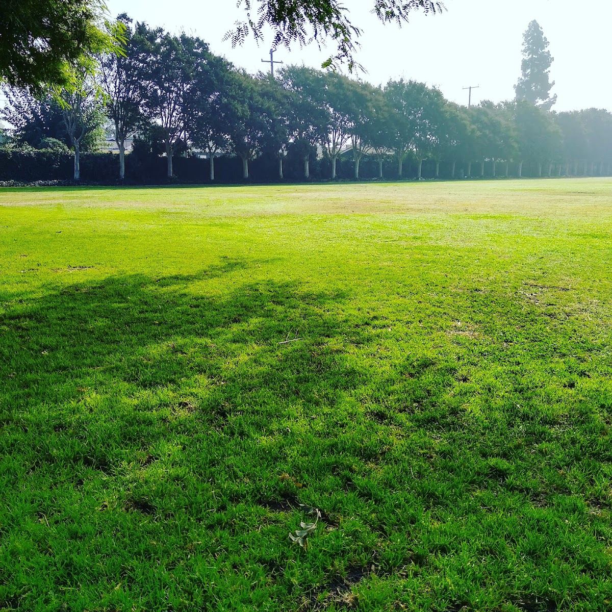 Hare School Park