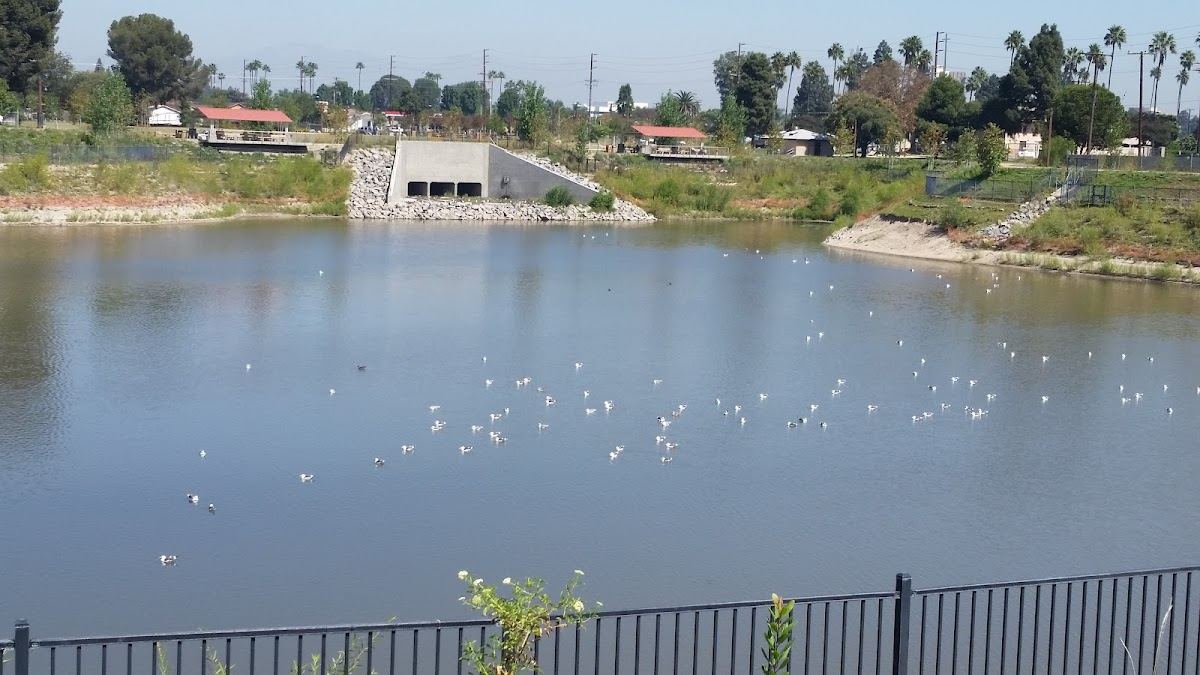 Haster Basin Recreational Park