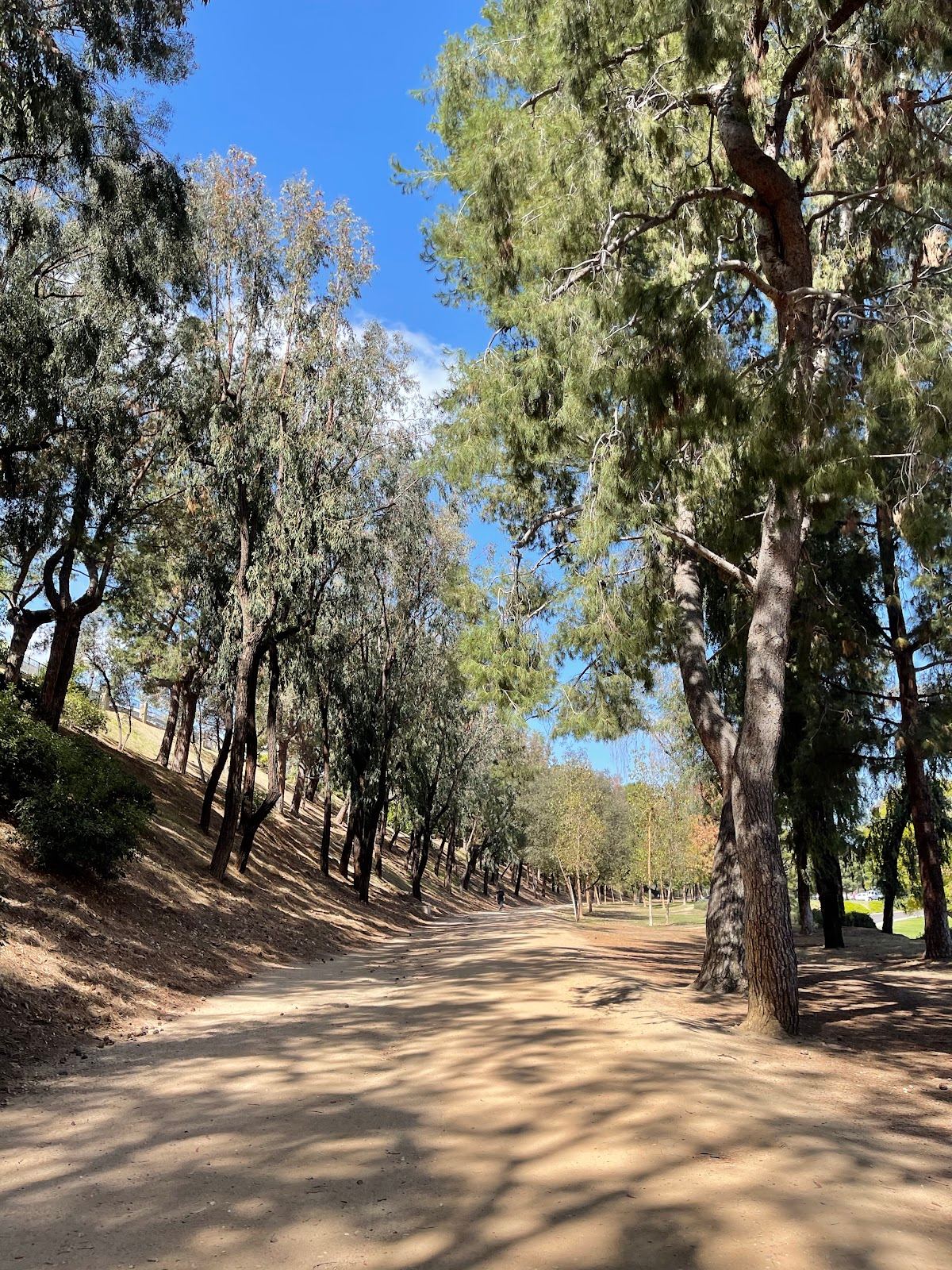 Juanita Cooke Trail