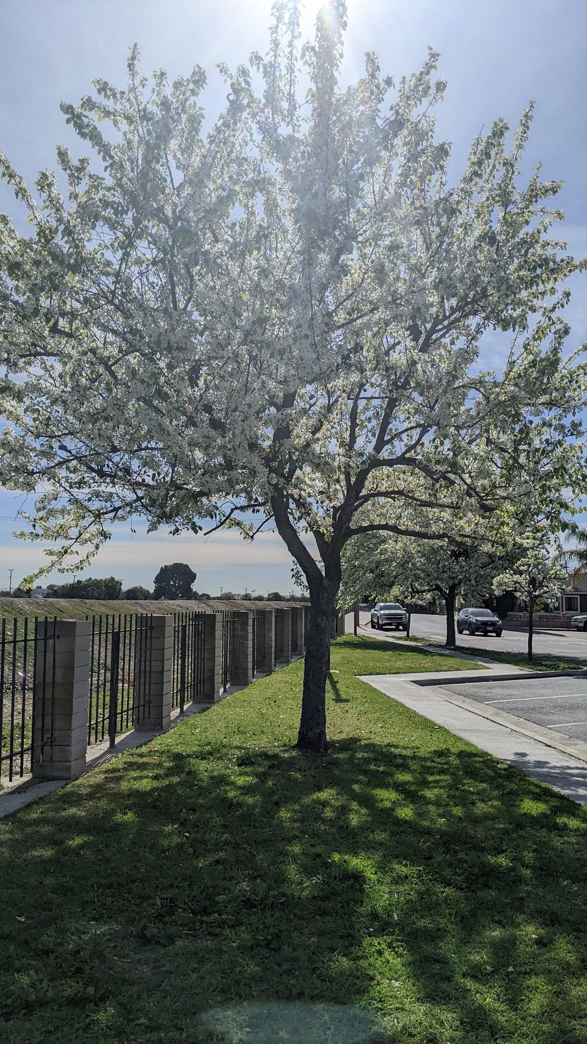 Lee Ware Park