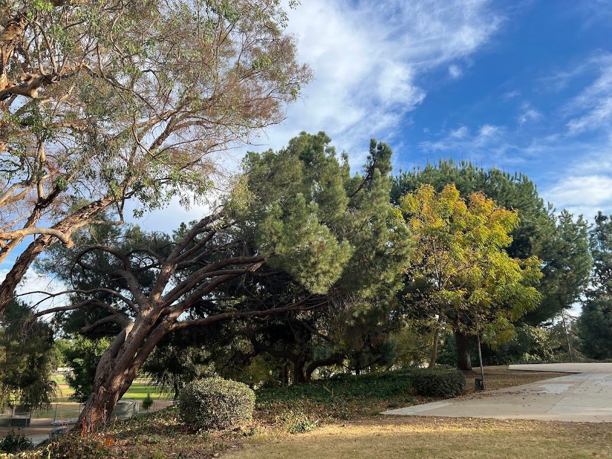 Loma Norte Park