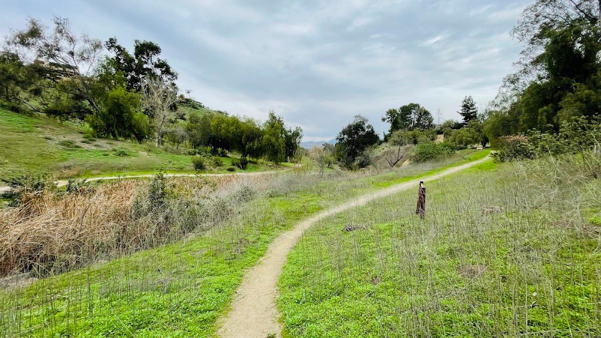 Pelanconi Park