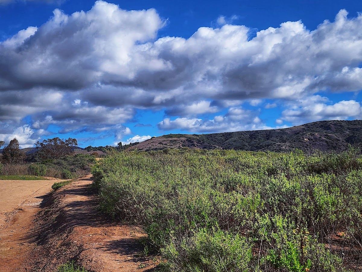 Peters Canyon South Trailhead