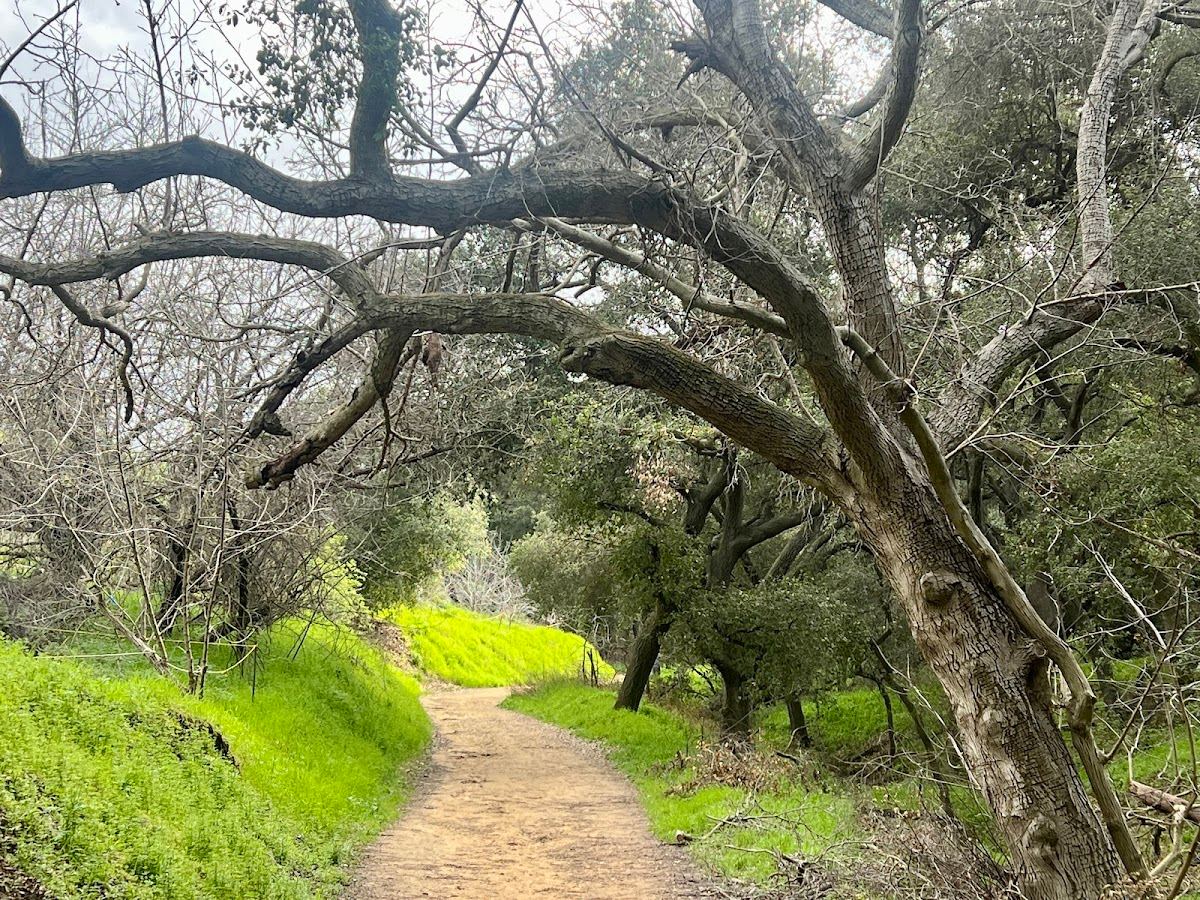 Powder Canyon