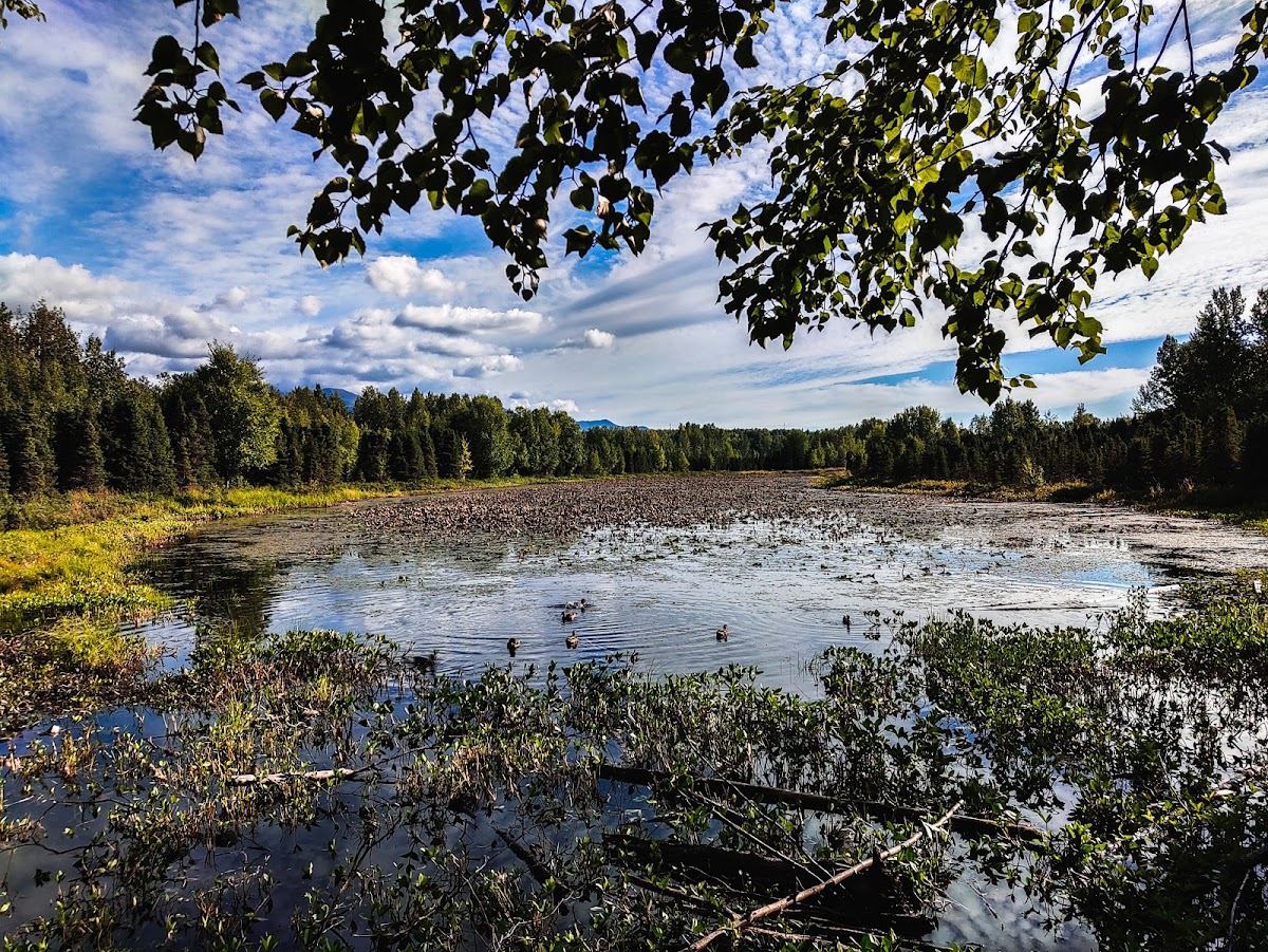 Baxter Bog Park