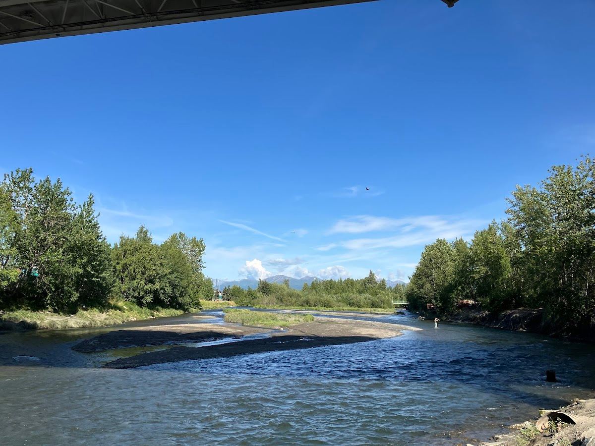 Fishing Salmon View