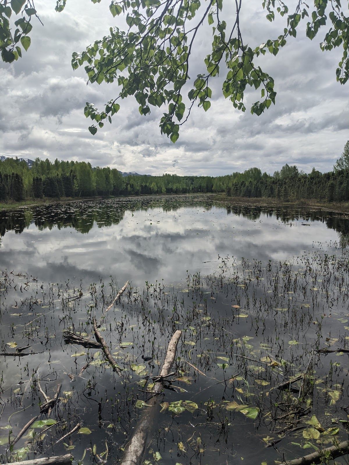 Pfleiger Park