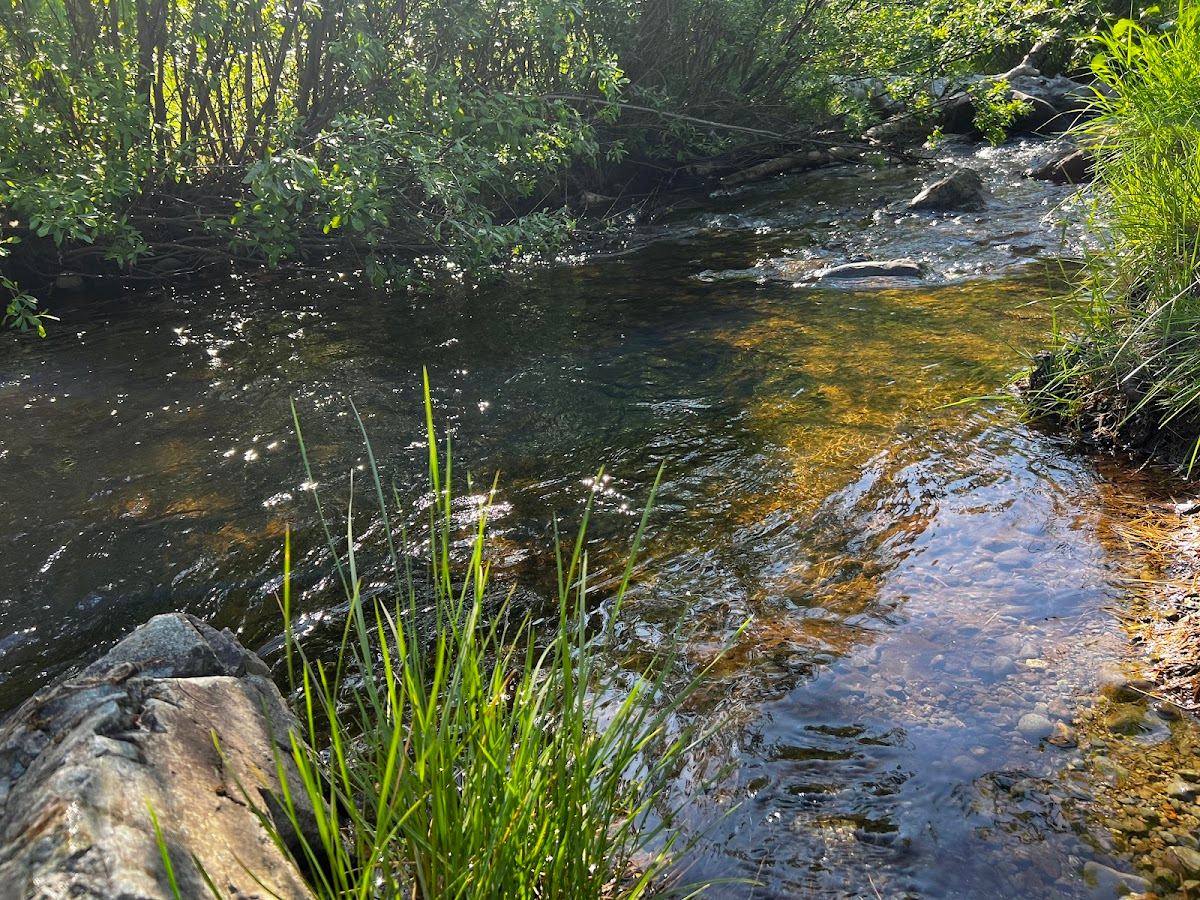 Windsong Park