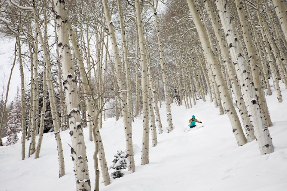 Four Mountain Sports - Buttermilk