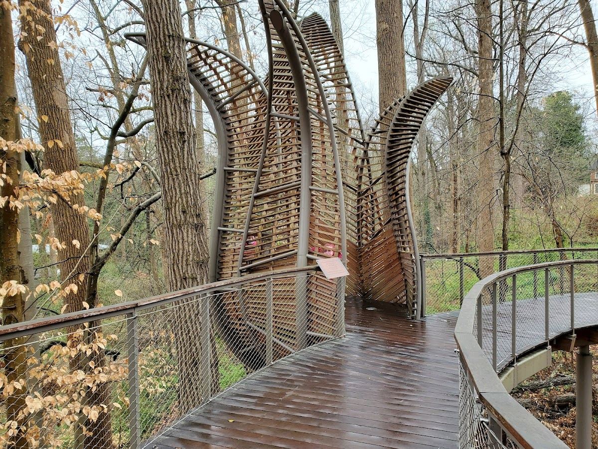 Fernbank Forest