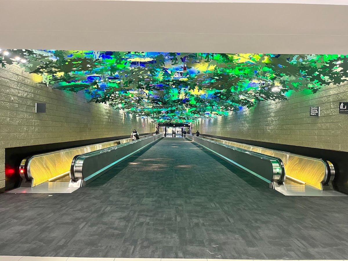 Flight paths art