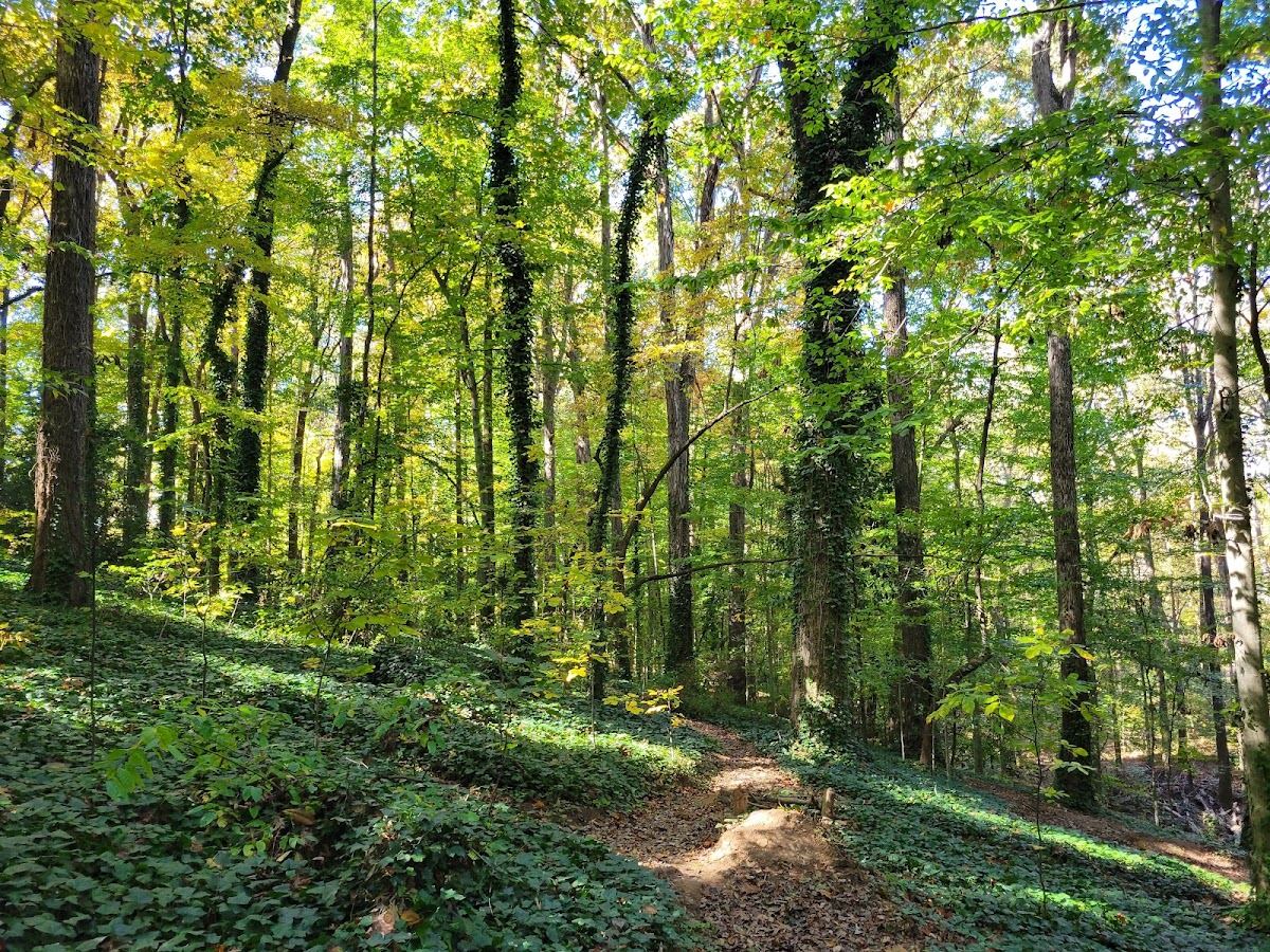 Glenn Creek Nature Preserve