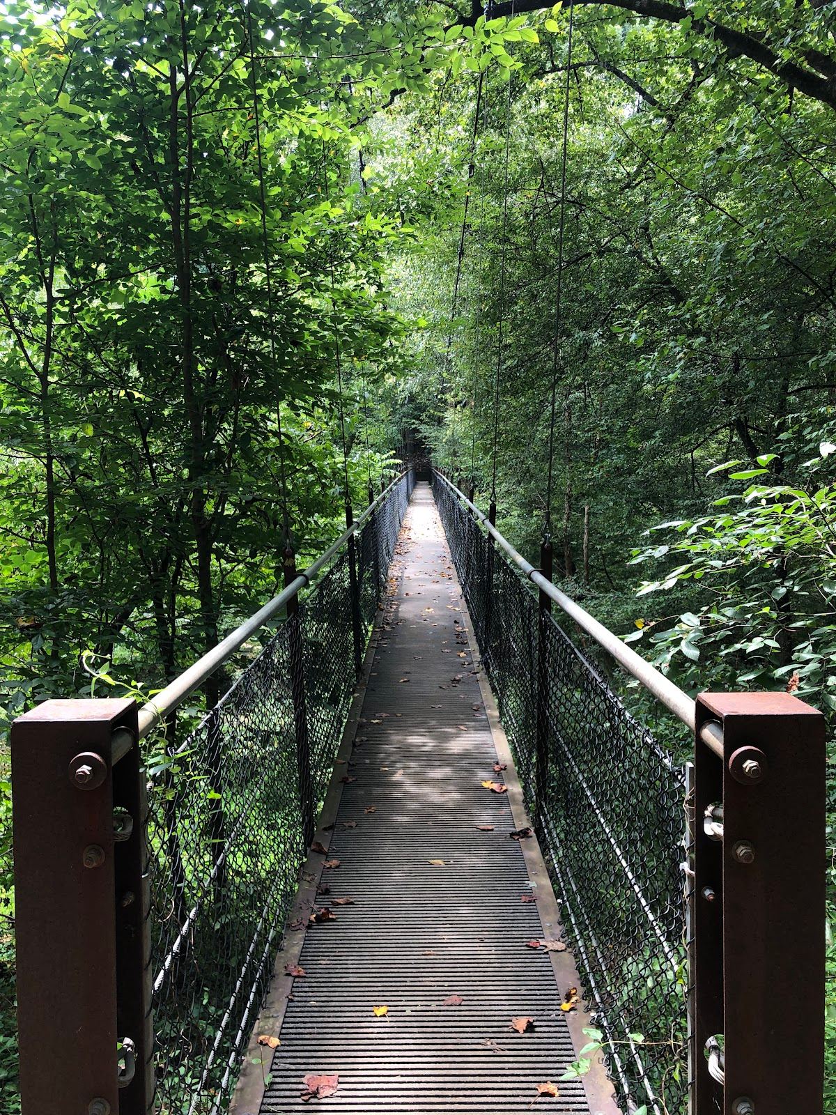 Lullwater Preserve
