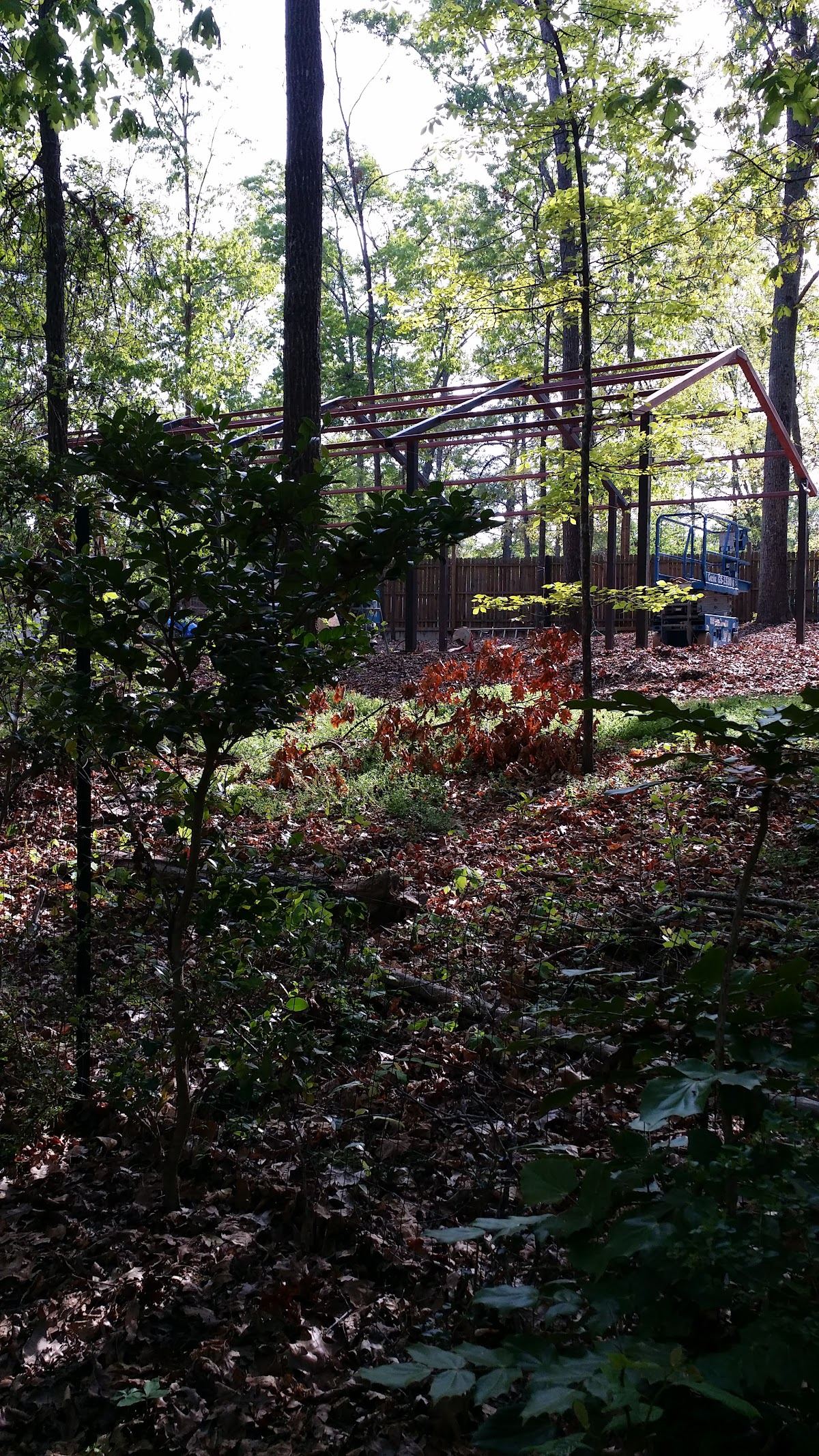 Pine Circle Park