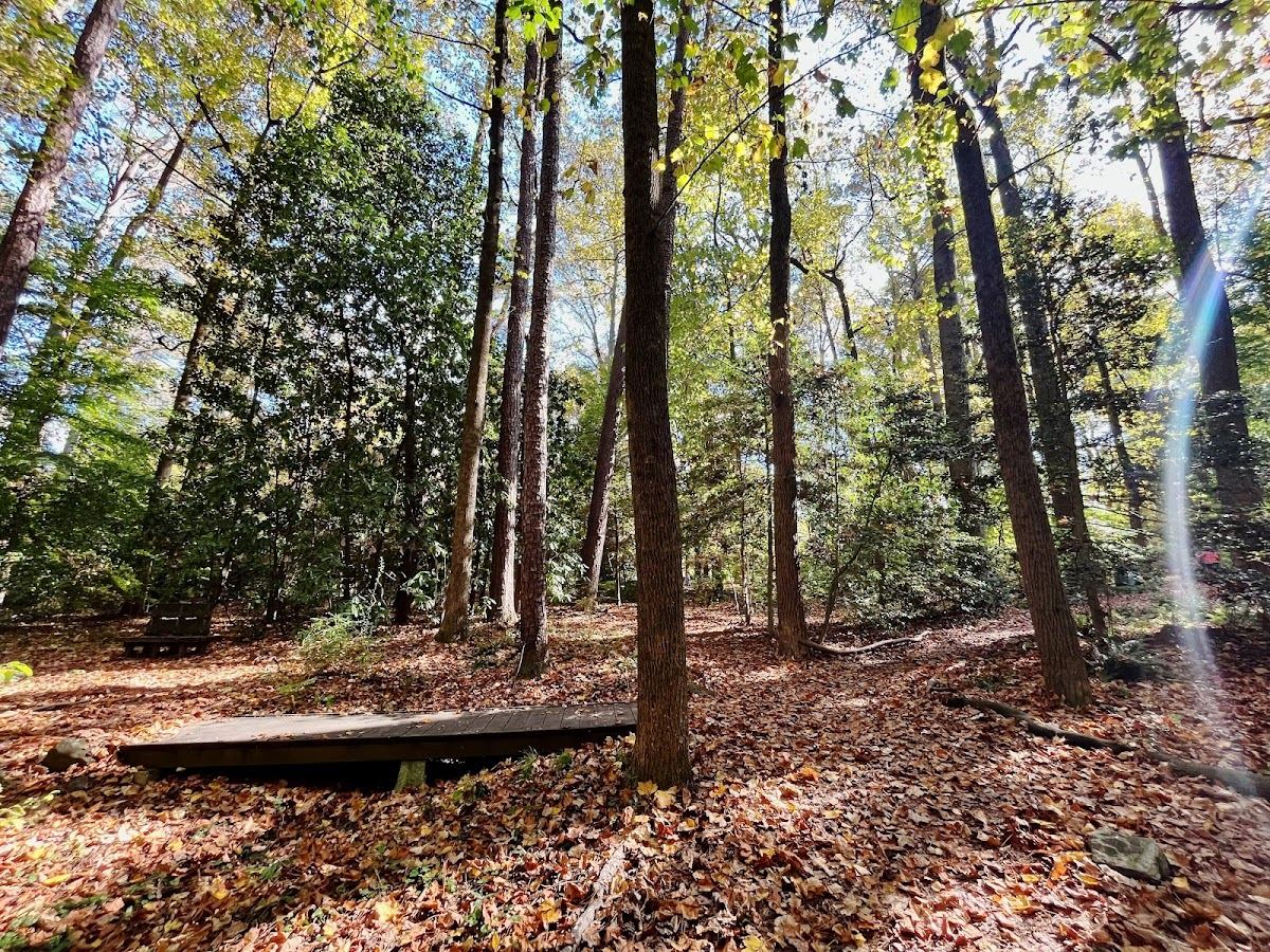 Woodlands Garden