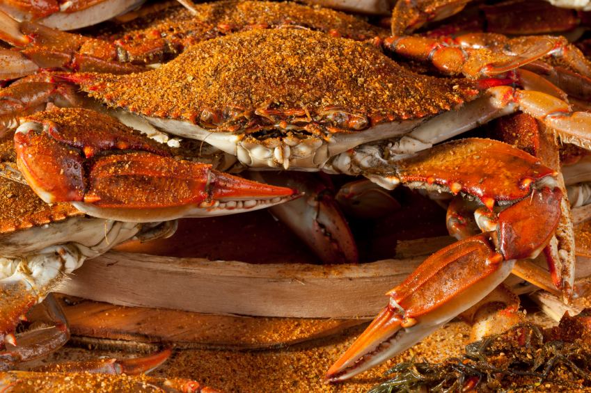 Blue Crabs Unlimited