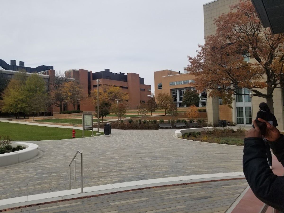 UMBC Gallery
