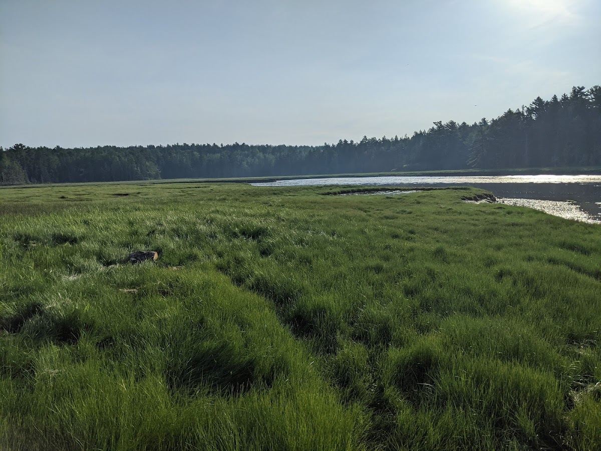 Babson Creek Preserve