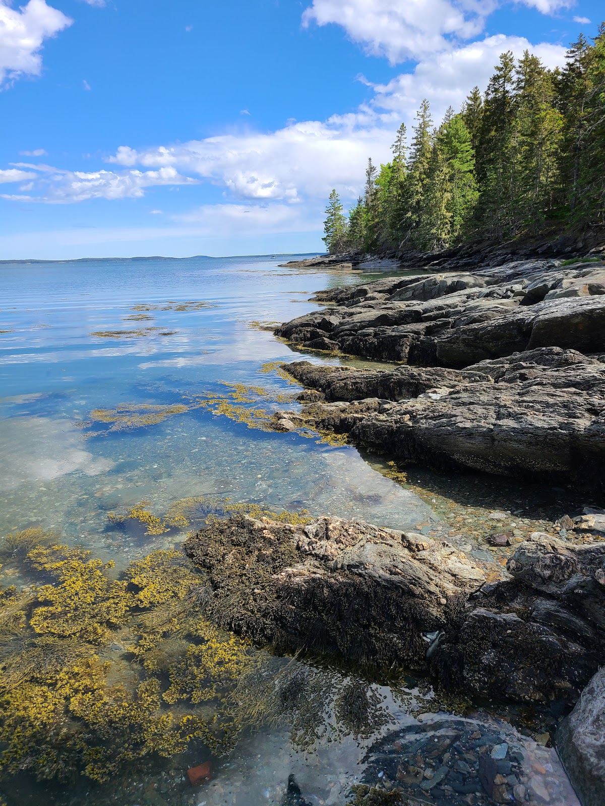 Carter's Beach