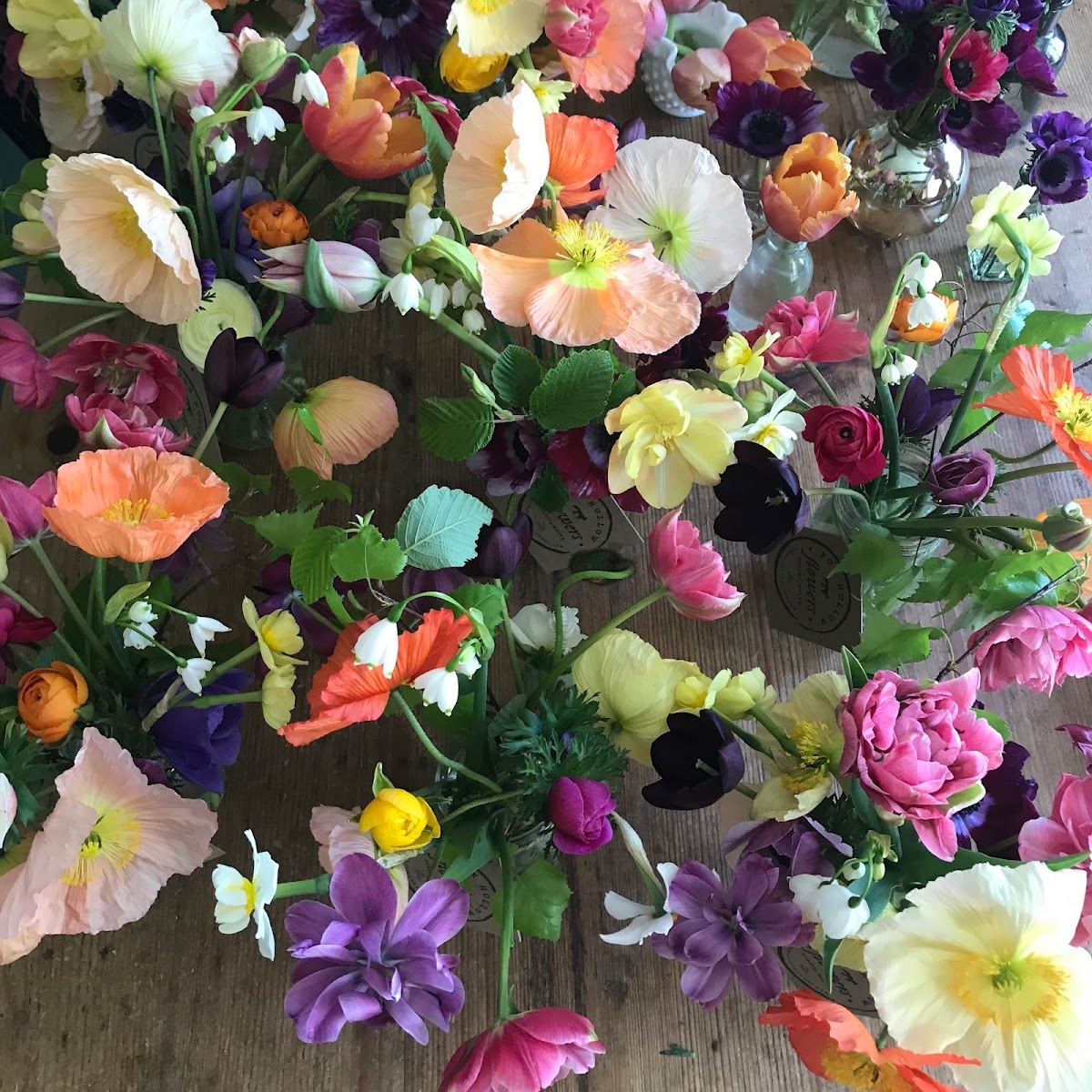 Fox Hollow Flowers