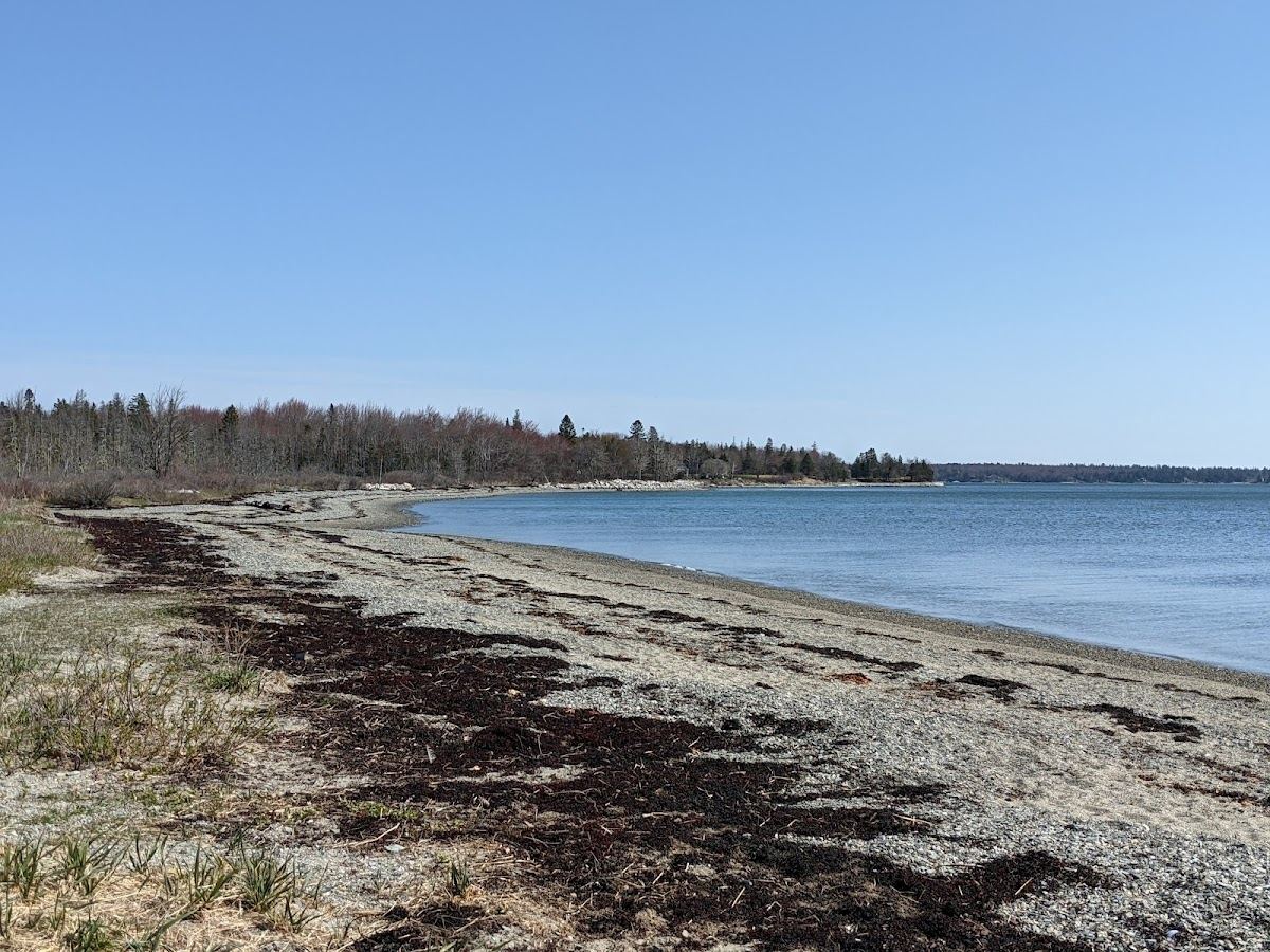 Lamoine Beach Park