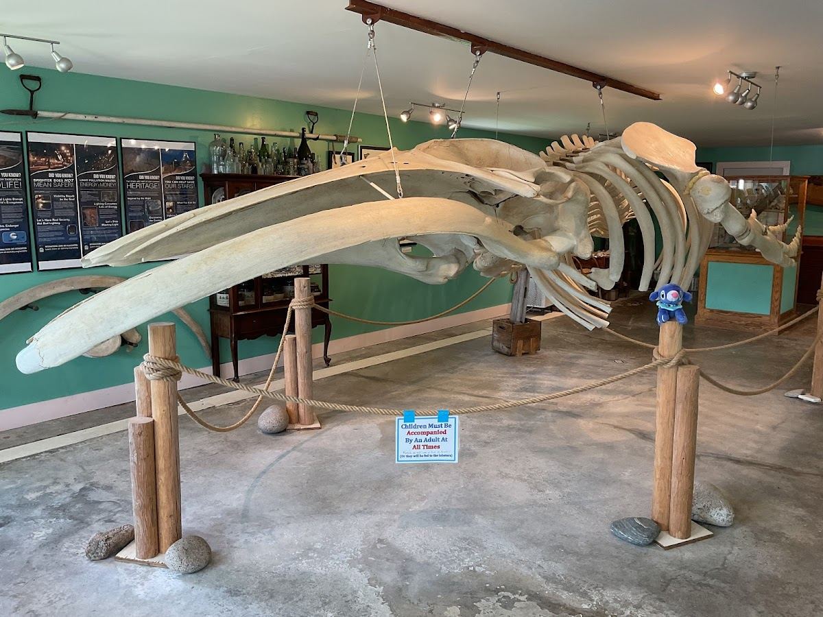 Oceanarium and Education Center