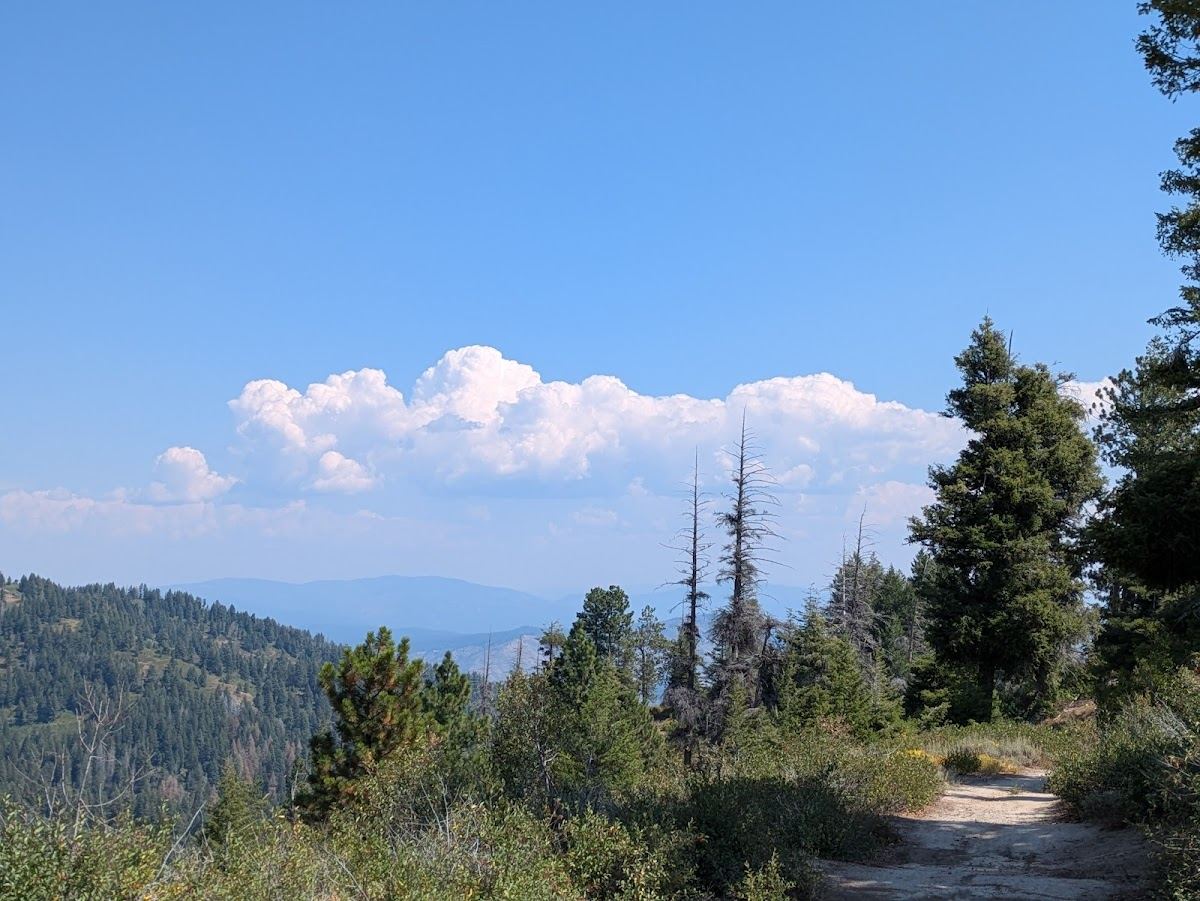 Boise National Forest